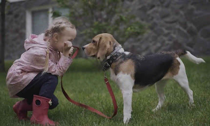 top 10 most friendly pets and popular in the world