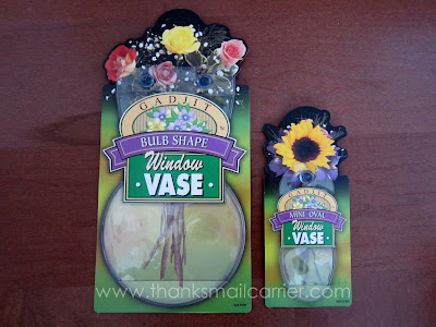 window vases review