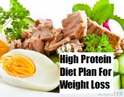 High Protein Diet Plan For Weight Loss