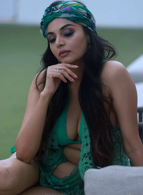 Actress Sanam Shetty Latest Hot Photos