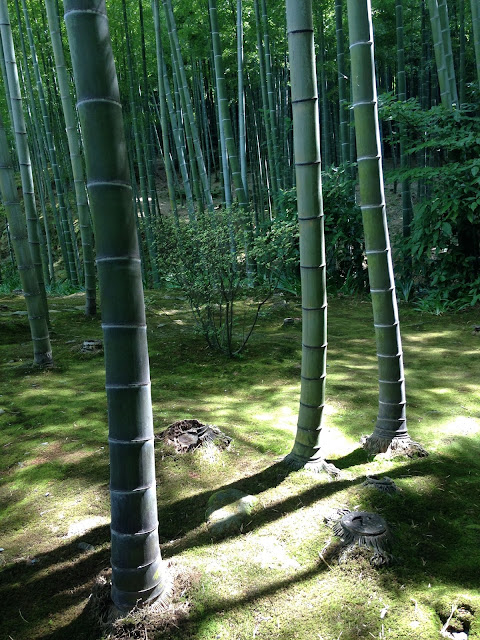 嵐山景點, 天龍寺