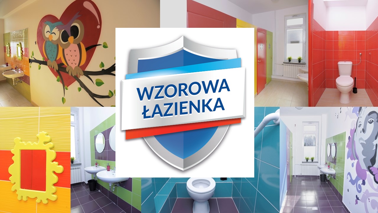 Wzorowa Łazienka - akcja marki Domestos - poprawa stanu higieny i czystości w polskich szkołach