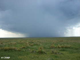 storm clouds over Comanche National Grasslands