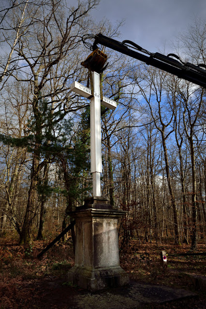 Croix de Guise forêt de Fontainebleau