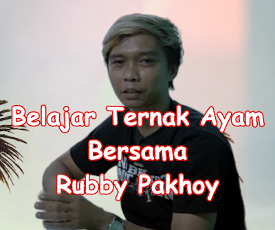 Inspirasi Ternak | Belajar Ternak ayam Laga Bersama Rubby Pakhoy