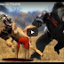 Lion vs Baboon vs Cheetah 