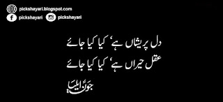 Jon Elia Poetry