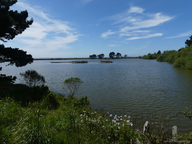 09: pond with islands