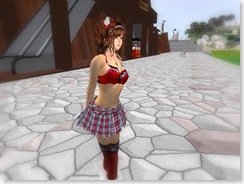 Tvd_20081207a_001