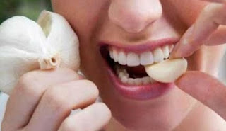 Obat Tradisional Sakit Gigi Yang Sangat Ampuh