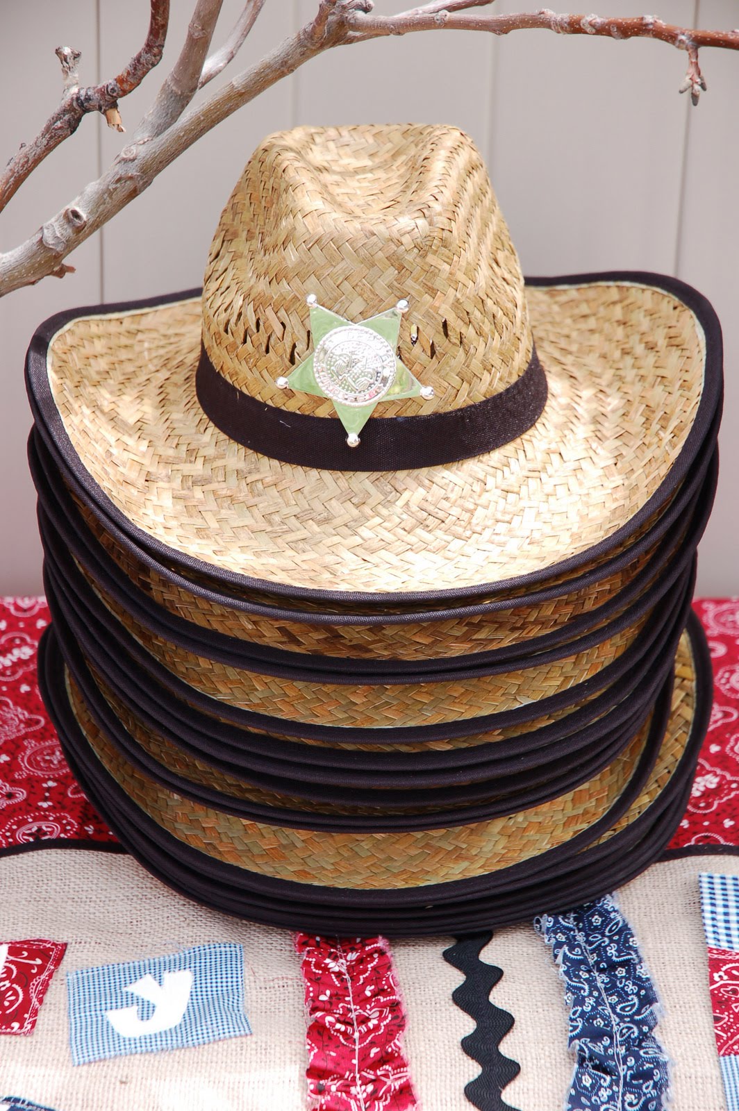 restlessrisa: Cowboy Birthday Party Preparation {Part 4 - The Table}