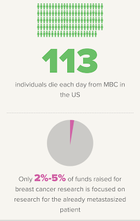 113 Individuals die each day from metastatic breast cancer; only 2% to 5% of breast cancer research is focused on research for the already metastasized.