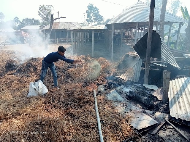 কুষ্টিয়াতে হত্যা মামলা থেকে বাঁচতে নিজ গোয়াল ঘরে আগুন।।BDNews.in