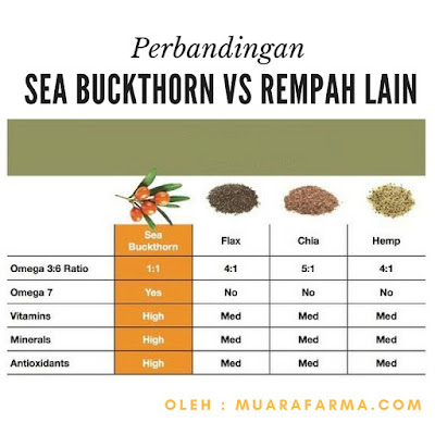 manfaat sea buckthorn oil