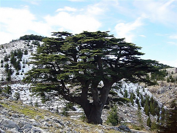 السياحة في لبنان - عن لبنان الكبير