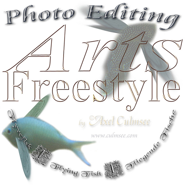 Flying Fish Arts Freestyle by Axel Culmsee