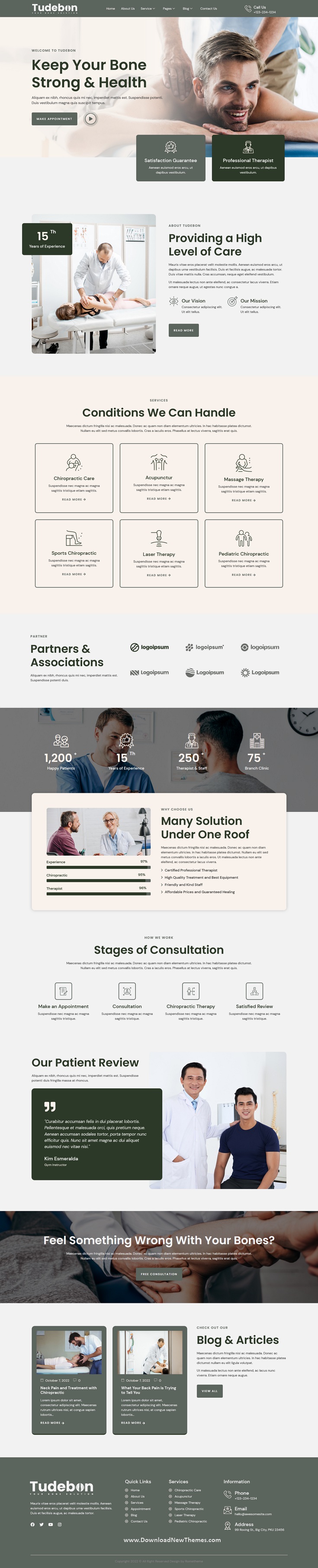 Tudebon - Chiropractic & Physiotherapy Elementor Template Kit Review