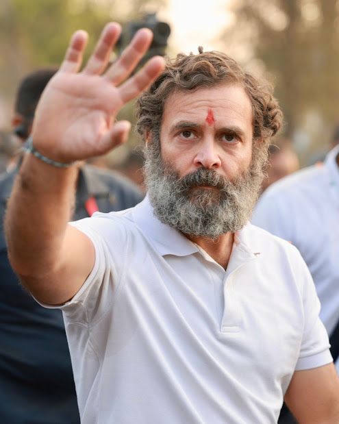 Rahul Gandhi in best photo in beard