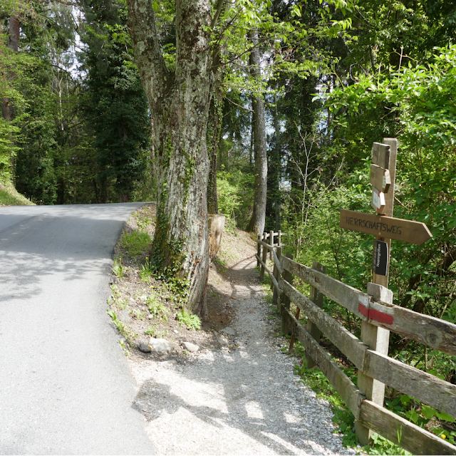 sentiero Herrschaftsweg castel tirolo