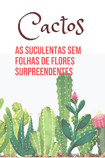 cactos desenho