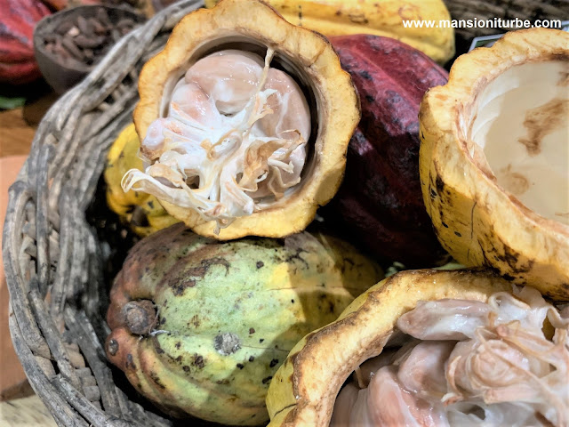 Mexican Cacao