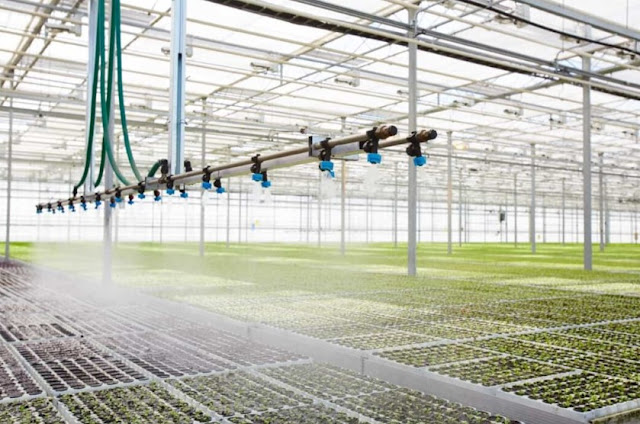 The Ultimate Guide to Water Management and Irrigation for Greenhouses