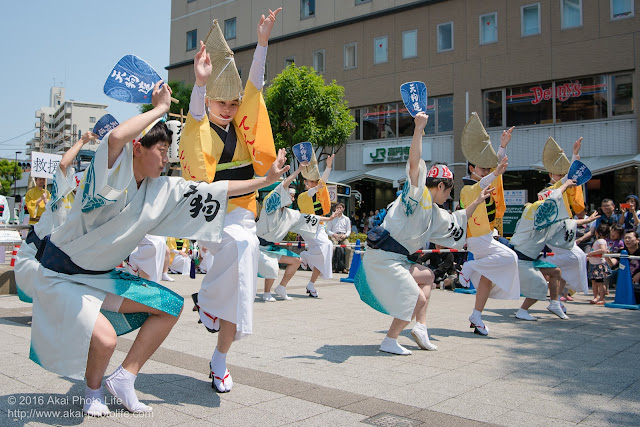 天狗連、熊本地震被災地救援募金チャリティ阿波踊りの舞台踊りの写真