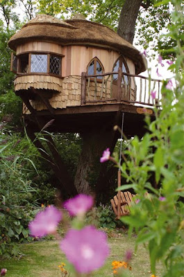 Unique Tree House With 2 Roof