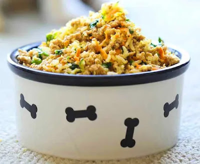 Home-prepared food for dog