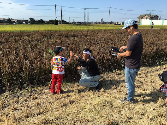 こしがや田んぼアート2015食戟のソーマ（収穫祭・稲刈り体験）