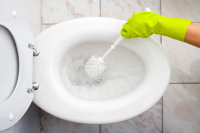 toilet cleaning services