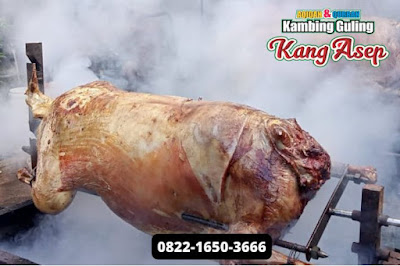 Bakar Kambing Guling di Cikole,Kambing Guling di Cikole,Bakar Kambing Guling,Kambing Guling,