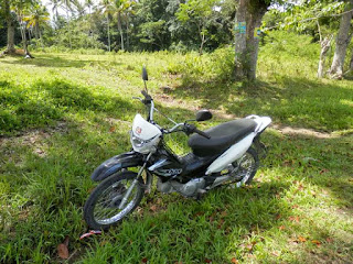 bohol moto