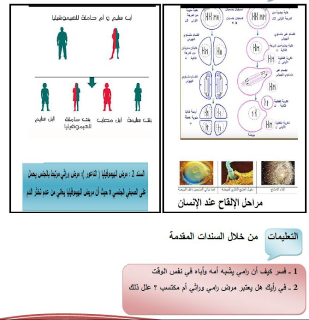 وضعية انطلاقية لمقطع انتقال الصفات الوراثية للسنة الرابعة متوسط