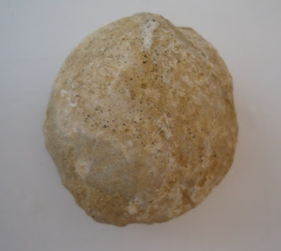 Fossil Tortoise/Turtle egg 