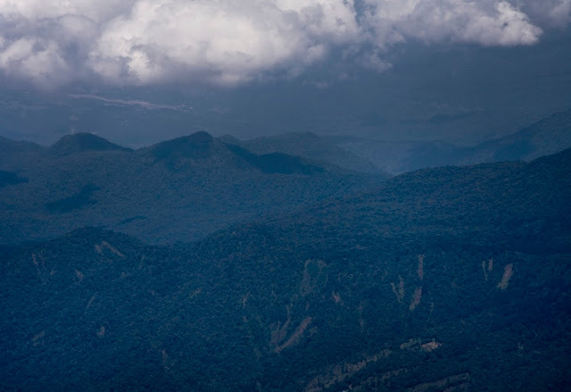 Costa Rica, Jungle, Hills