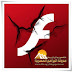 Adobe Flash Player 11.3.300.271 IE x32 x64