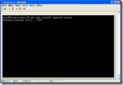 beaglebone_install_openssh_server_start