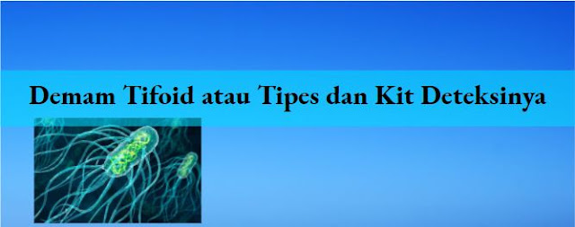 Tifoid atau Tifus