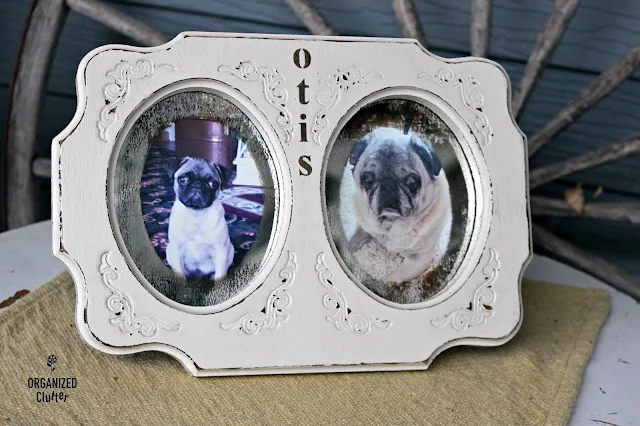 Transform a Goodwill Frame to a Pet Memorial organizedclutter.net