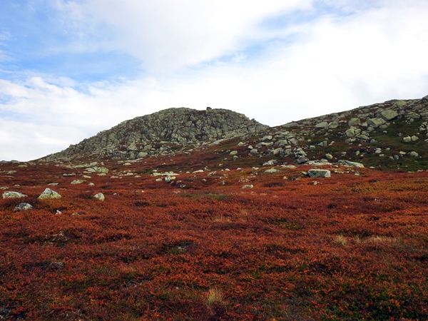 sørbølfjellet skardsvarden