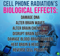 Radiation affects bones and muscles