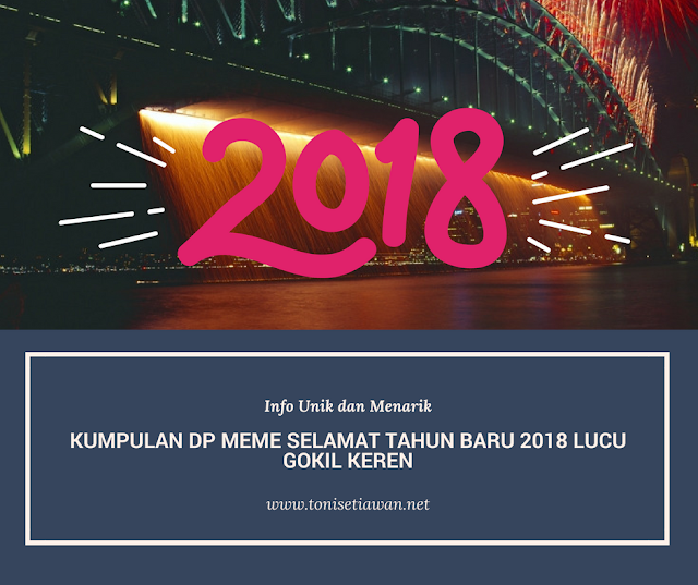 Kumpulan DP Meme Selamat Tahun Baru 2018 Lucu Gokil Keren