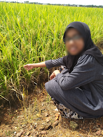 Cuti best dengan anak-anak di Sekinchan