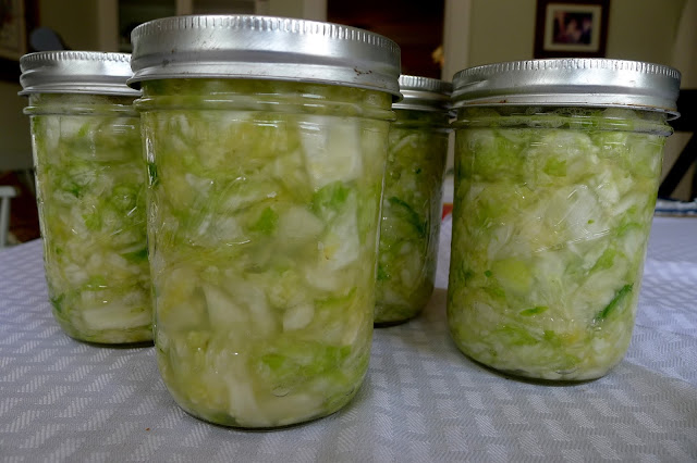 Homemade sauerkraut, fermenting