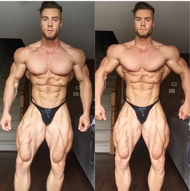 Chris Bumstead in 2016
