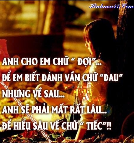 Nhung cau noi hay ve tinh yeu hay nhat