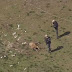 The farm of horrors: Maryland sheriff discovers 25 dead horses, who were so desperate for food that they ate aluminum siding off the house ( 3 Pics)