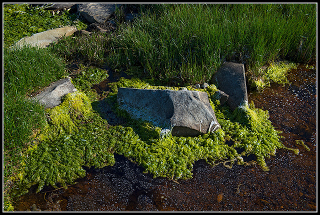 Green Bay; Nova Scotia