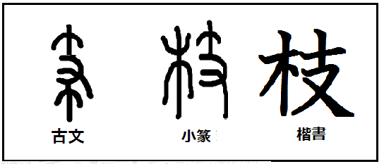 漢字考古学の道 漢字の由来と成り立ちから人間社会の歴史を遡る 11月 18